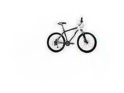 DBR Reaction 20 Inch Mountain Bike - Men's